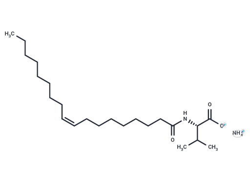 N-Oleoyl Valine Ammonium salt