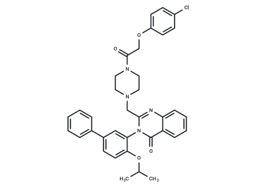 Erastin2