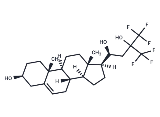 NSC 12