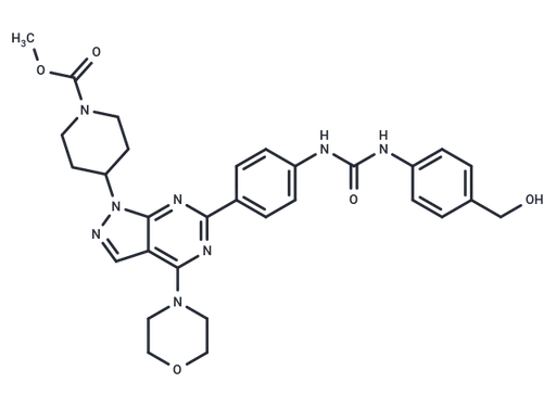 mTOR inhibitor WYE-28
