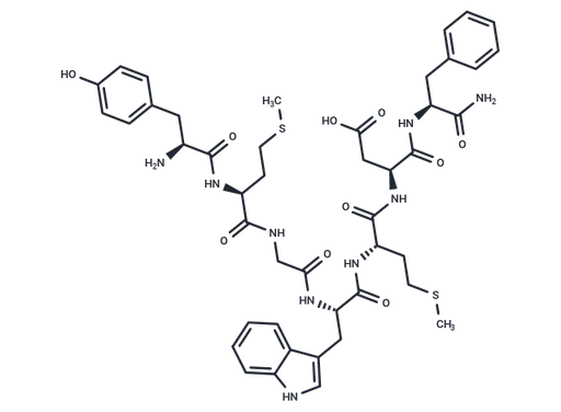 CCK (27-33) (non-sulfated)