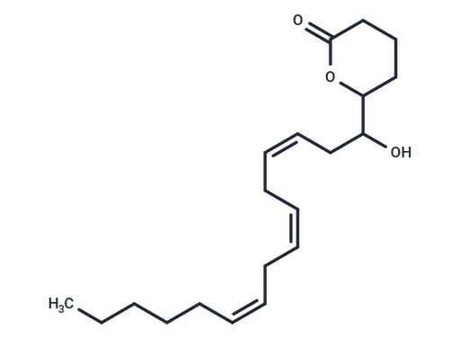 (±)5(6)-DiHETE lactone