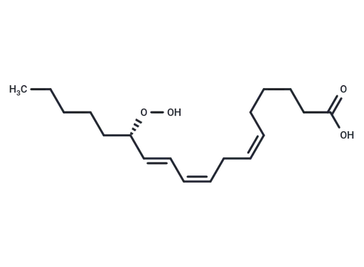 13(S)-HpOTrE(γ)