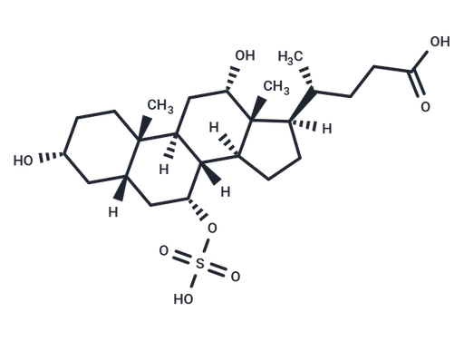 Cholic Acid 7-sulfate