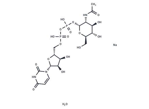 UDP-N-acetyl-D-Glucosamine sodium hydrate