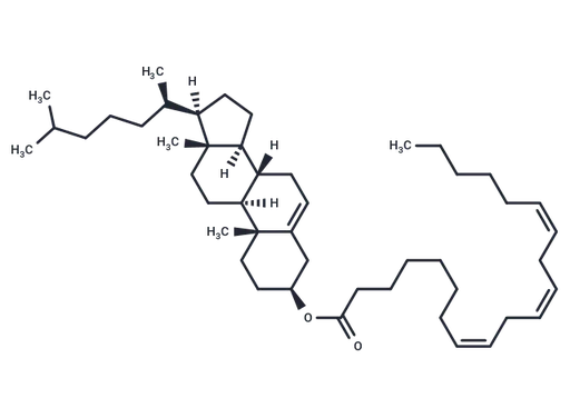 Cholesteryl Homo-γ-Linolenate