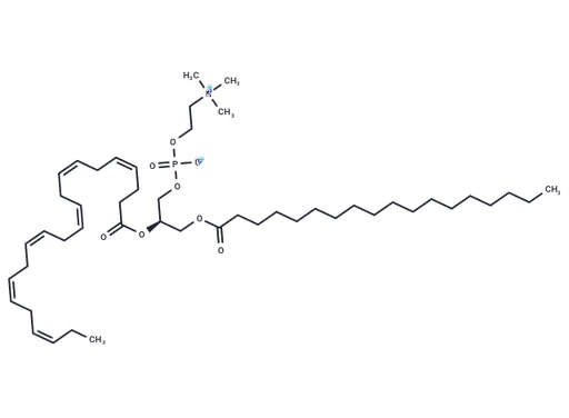 1-Stearoyl-2-docosahexaenoyl-sn-glycero-3-PC (10 mg/mL in Chloroform)