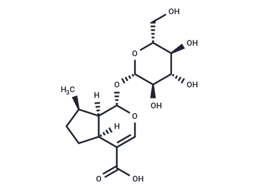 8-Epideoxyloganic acid