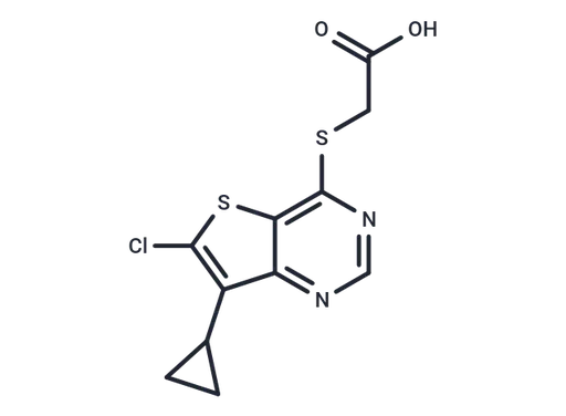 LP-922056