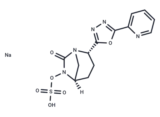 Antibacterial agent 45
