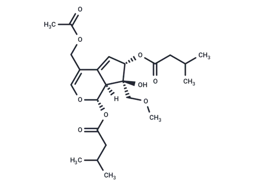 Valeriandoid F