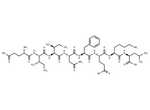 OVA-E1 peptide