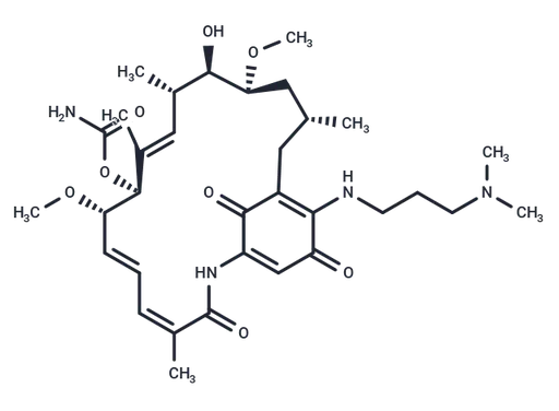 17-DMAP-GA