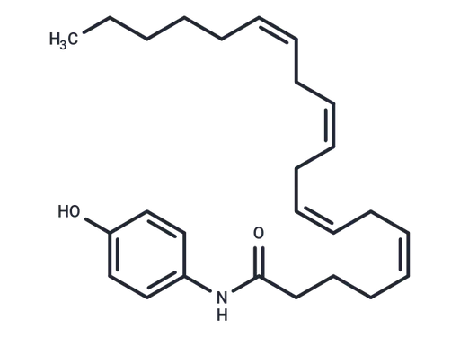 AM404