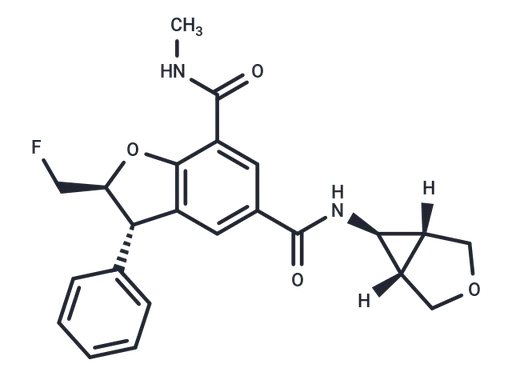 GSK973