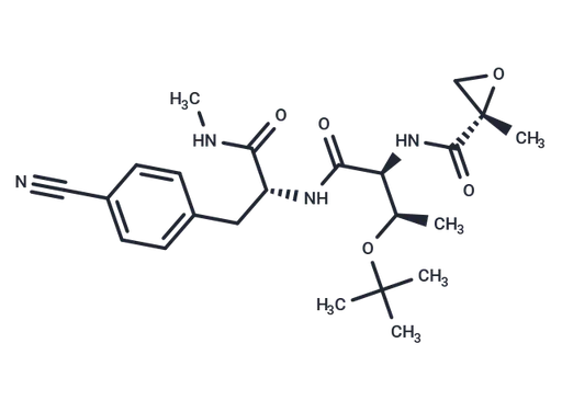 BTK-IN-5