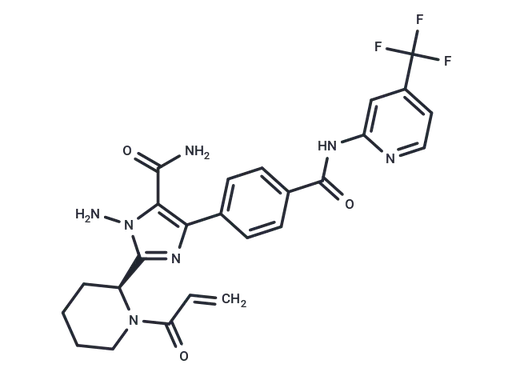 BTK inhibitor 19