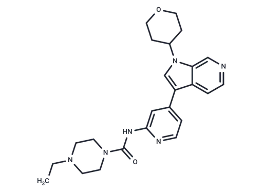 GNF2133