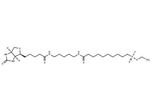 FP-Biotin