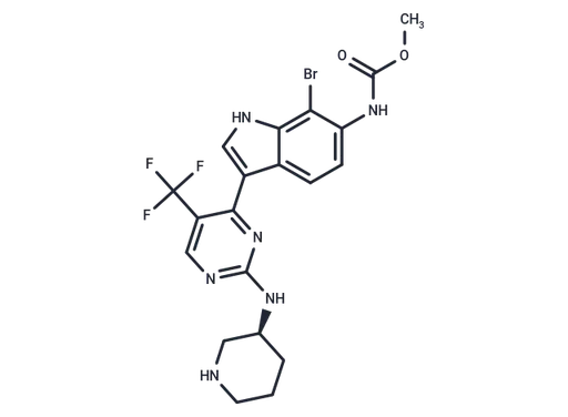 CDK7-IN-7