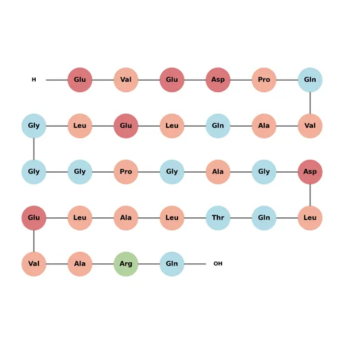 C-Peptide 2, rat