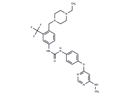 AST 487