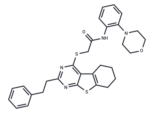 iHCK-37