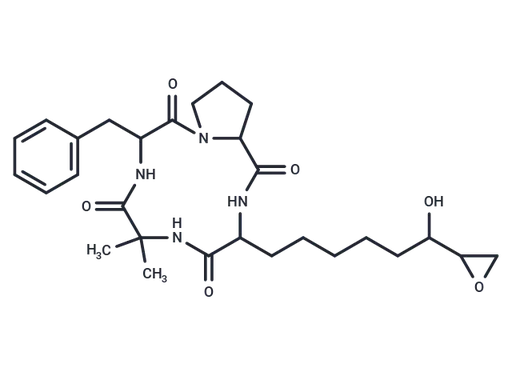 Dihydrochlamydocin