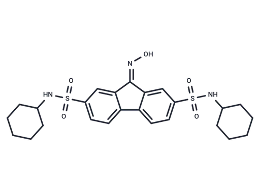 FIN56