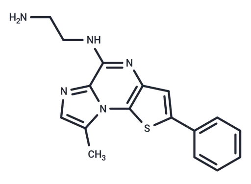 IKK-IN-3