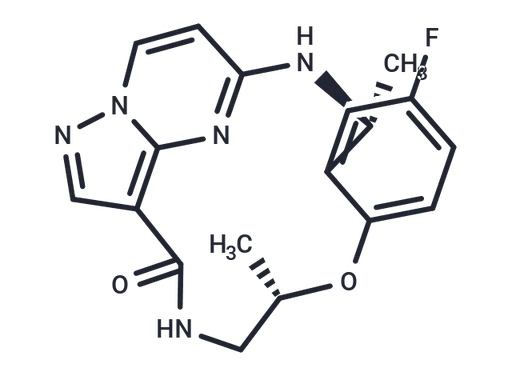 Repotrectinib
