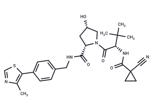 cisVH 298