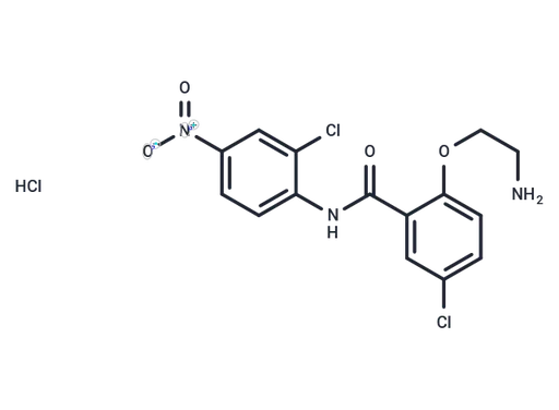 HJC0152 hydrochloride