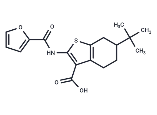 CaCCinh-A01