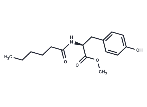MHP