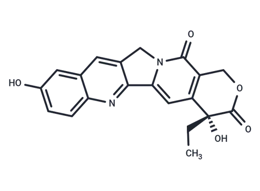 9-Hydroxycamptothecin
