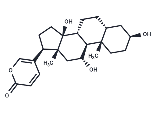 Gamabufotalin