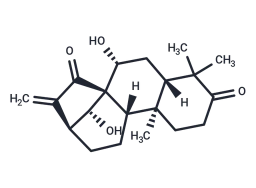 Glaucocalyxin A