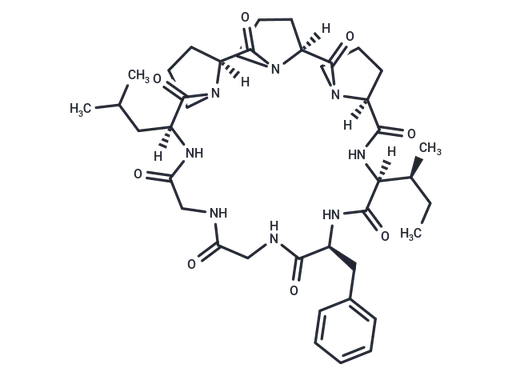 Heterophyllin B