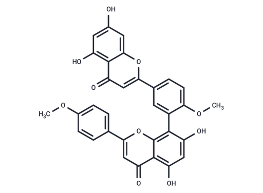 ISOGINKGETIN