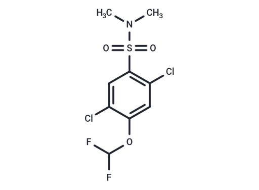 2,5-dichloro-4-(difluoromethoxy)-N,N-dimethylbenzene-1-sulfonamide