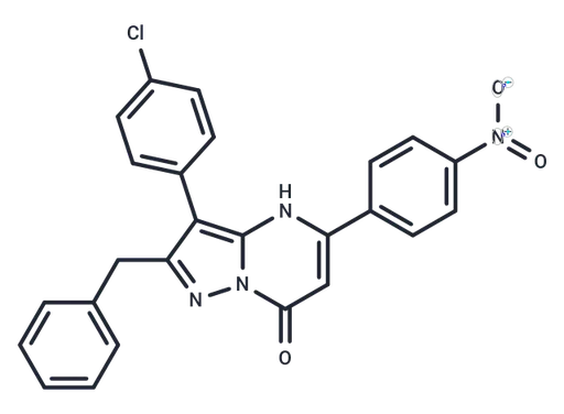 NAV-2729