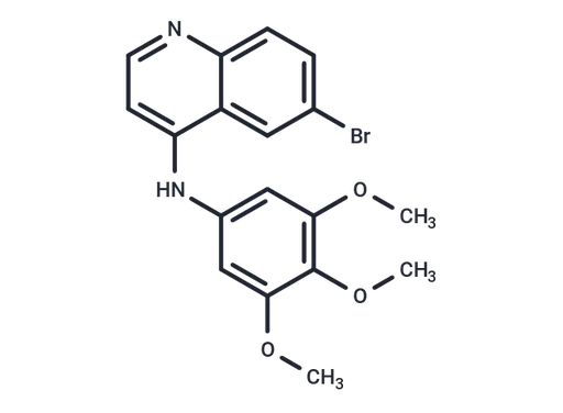 SGC-GAK-1