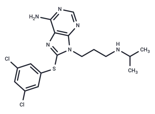PU-WS13