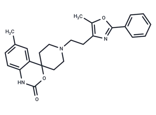 RS 504393