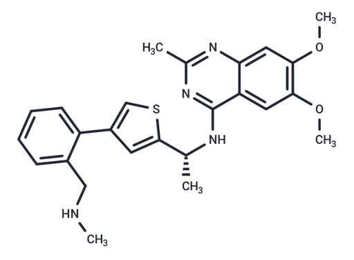 BAY-293