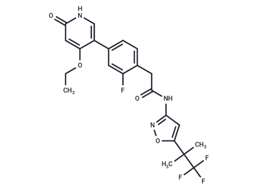 GSK3179106