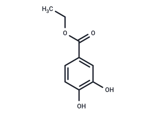 Ethyl 3,4-dihydroxybenzoate