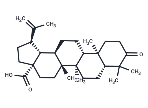 Betulonic acid