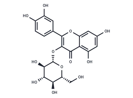 Isoquercetin